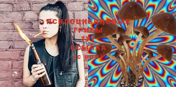 ECSTASY Верхний Тагил