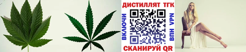 Купить где  Вятские Поляны  Дистиллят ТГК Wax 