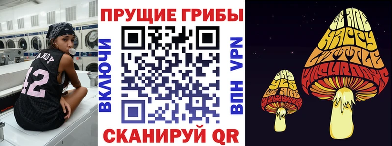 Псилоцибиновые грибы MAGIC MUSHROOMS  Купить  Вятские Поляны 